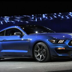 ford mustang shelby gt350 wallpapers pictures