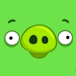 6 Angry Birds Desktop Wallpapers