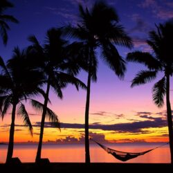 Beach Sunsets With Palm Trees 35888 Hd Wallpapers in Beach n