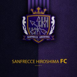 Download wallpapers Sanfrecce Hiroshima FC, 4k, logo, leather