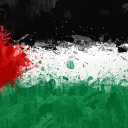 Palestinian Flag Wallpapers