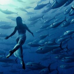Download wallpapers girl, FISH, tuna, underwater free desktop