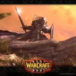 Blizzard WoW: Looking back at the milestones part 2