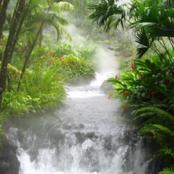 Hot water river in Costa rica wallpapers and image