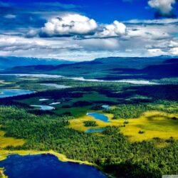 Denali National Park and Preserve, Alaska ❤ 4K HD Desktop