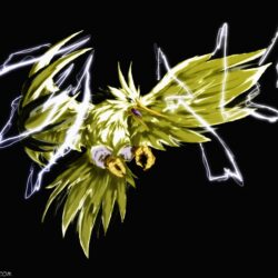 pokemon birds deviantart digital art artwork zapdos black