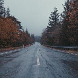 Download wallpapers road, marking, trees, overcast hd, hdv