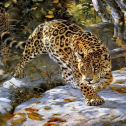Wallpaper&Collection: «Jaguar Wallpapers»