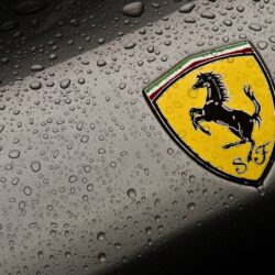 Logo Ferrari Desktop Free HD Download