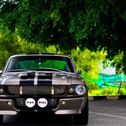 Cars Elanor Ford Mustang Shelby GT350 Wallpapers