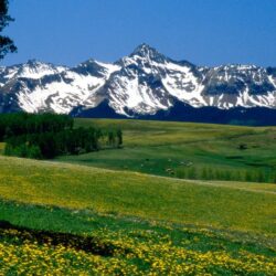 Download Wallpapers Mountains, Meadows, Tree, Flowers