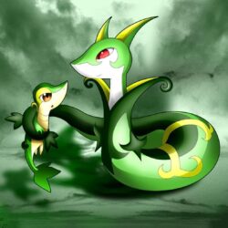 Snivy And Serperior by KairouZ