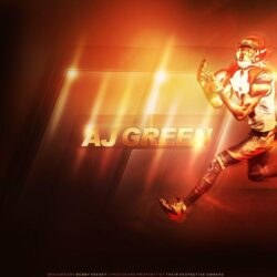 Bengals Wallpapers Group