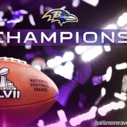 Baltimore Ravens Exclusive HD Wallpapers
