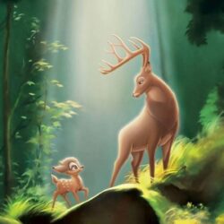 Bambi Wallpapers Great Prince Of The Forest The Bambi Father