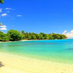 Beaches: Islands Palm Guadalcanal Beach Trees Island Water Emerald