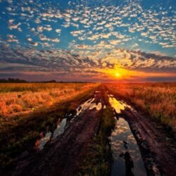 Landscapes grass sunlight mud hdr photography skyscapes wallpapers