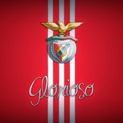 Download Benfica Wallpapers HD Wallpapers