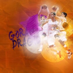Goran Dragic Phoenix Suns 2014 2880×1800 Wallpapers
