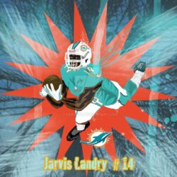 Miami Dolphins Jarvis Landry by char0077