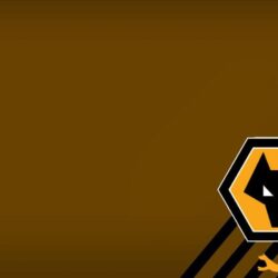 Wolves Fc Ipad Wallpapers