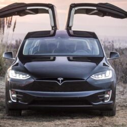 2019 Tesla Model Y Wallpapers