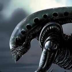 Android Xenomorph Wallpapers