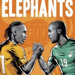 Brazil World Cup 2014 Ivory Coast