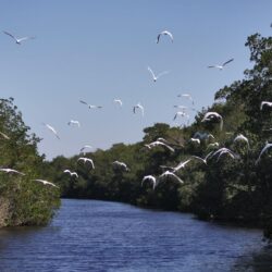 35+ Best HD Everglades National Park Wallpapers