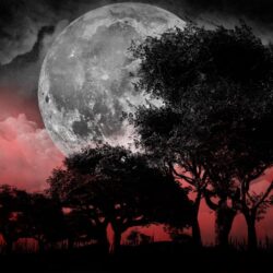 Blood Moon Landscape by Drace