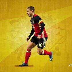 Euro 2016 team profile: Belgium
