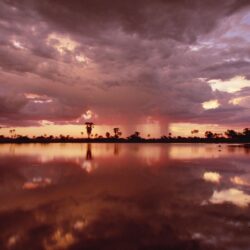 Backgrounds For Okavango Delta Backgrounds