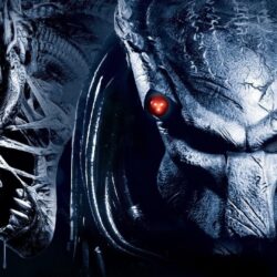 17 Alien Vs. Predator Wallpapers