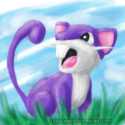 RATTATA by transawex