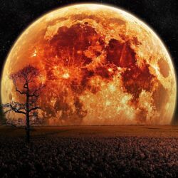 Blood Moon, iPhone Wallpaper, Facebook Cover, Twitter Cover, HD