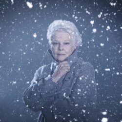Dame Judi Dench: Not retiring