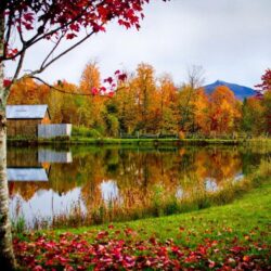 Vermont Tag wallpapers: Nice Pretty Cottage Forest Shore America