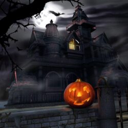 Halloween Scary House, Halloween Wallpaper, hd phone wallpapers