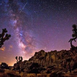 Star Sky In Summer The Milky Way Desert Area With Rock Cactus
