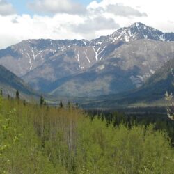 Wrangell – St. Elias National Park & Preserve