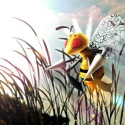 pokemon beedrill wallpapers High Quality Wallpapers,High