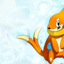 5 Buizel