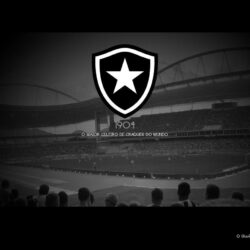 Papel de Parede Botafogo