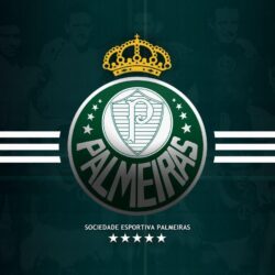 Palmeiras wallpapers download