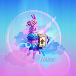 llama fortnite battle royale by cre5po Wallpapers and Free
