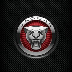 Jaguar Logo wallpaper/screen saver for smartphone