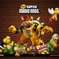 10 New Super Mario Bros. HD Wallpapers