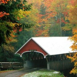 Hampshire Tag wallpapers: Covered Bridge Franconia State Park New