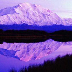 Denali National Park Videos at ABC News Video Archive at abcnews