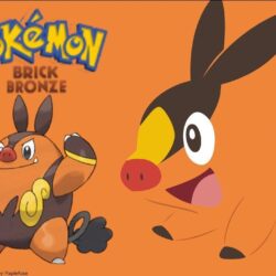 Let’s Play Pokemon Brick Bronze ¦ PIGNITE?????